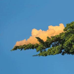 曰本妇女姓交大片
