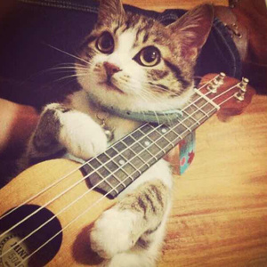 曰本妇女姓交大片
