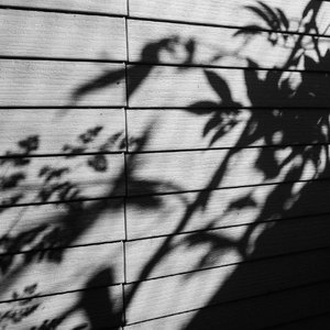 曰本妇女姓交大片
